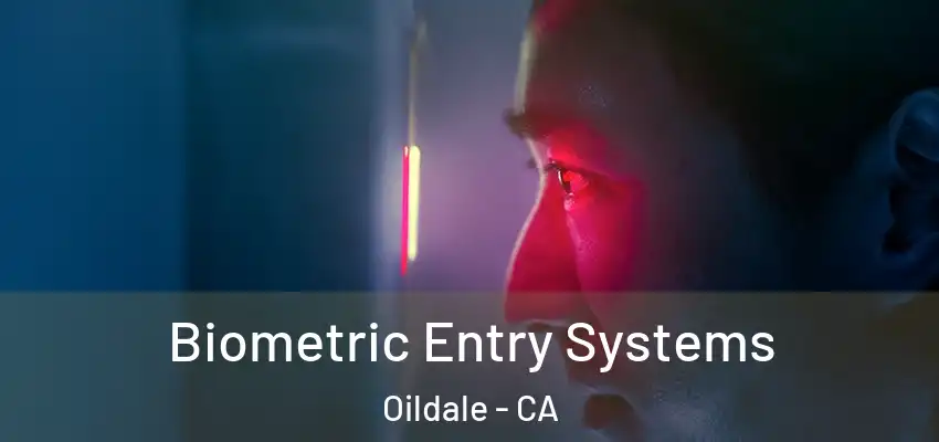  Biometric Entry Systems Oildale - CA